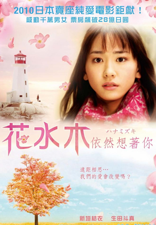 花水木依然想著你