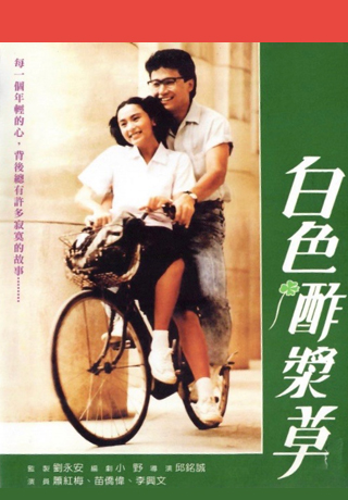 白色酢漿草