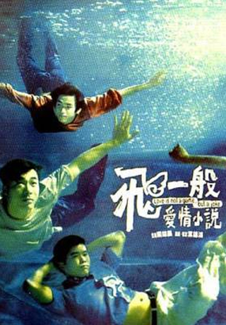 飛一般愛情小說